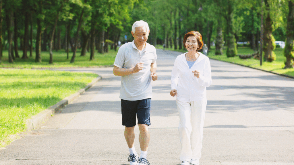 Segurança, prevenção e organização