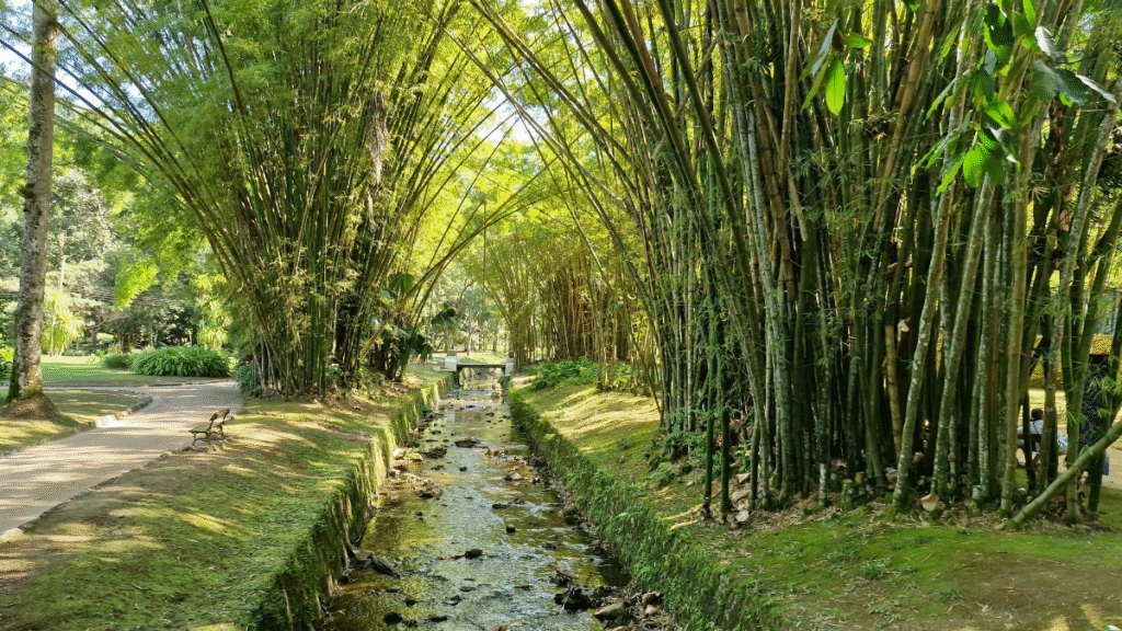Penedo, Rio de Janeiro – Uma Cidade Pequena e Encantadora com Influência Europeia