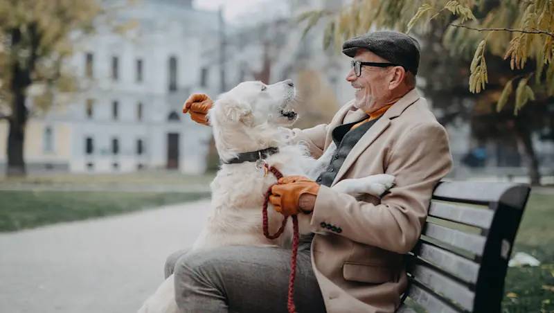Destinos pet friendly para quem viaja com seu bichinho na aposentadoria