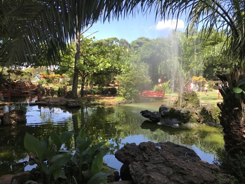 Jardim japonês- Destinos com águas termais
