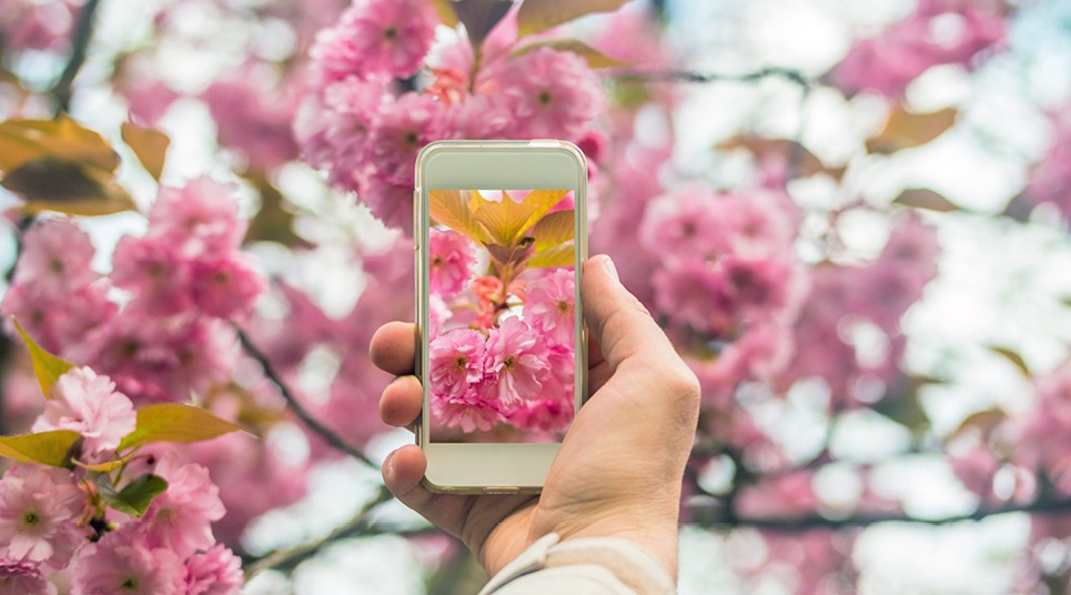 Dicas para fotografar suas viagens com celular na terceira idade